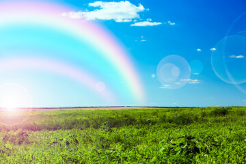 Picturesque view of green meadow and beautiful rainbow in blue sky on sunny day