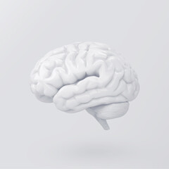 Brain on white background. Ideas and brainstorming concept.