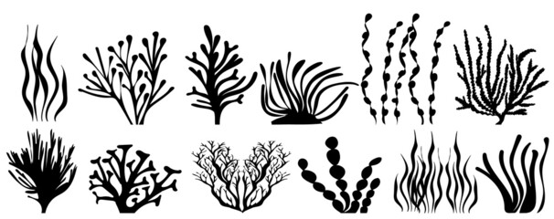 algae set of silhouette, on a white background, isolated, vector © zolotons
