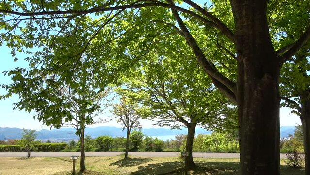 天鏡台からの猪苗代湖（福島県・猪苗代町）