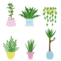 Garden plants in pots isolated on white. Vector illustration