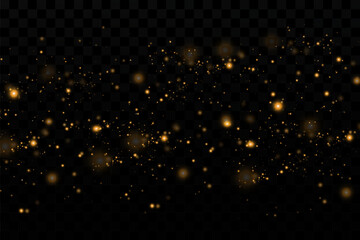Fototapeta na wymiar light effect. Background of sparkling particles. Shiny elements on a transparent background.Christmas dust.
