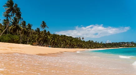 Foto op Plexiglas anti-reflex Tropical landscape, paradise beach against the blue ocean, perfect vacation in silence. © insomniafoto