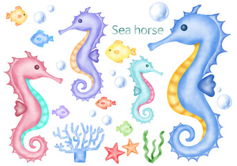 Tropical fish cartoon icon. Hand drawn Isolated cartoon icon aquarium animals. Illustration Marine fish on white background.