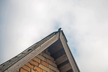 Tiny grey bid sitting of the roof of the old brick house and watching around