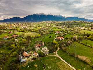 Obraz premium Beautiful spring scene of mountain Bran Village with colourful trees and beautiful background, Bran - Romania
