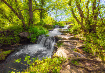 Obraz premium Mazzano Romano (Rome, Italy) - Waterfalls of Monte Gelato in the Regional park of Valle del Treja, province of Rome, with suggestive trekking paths