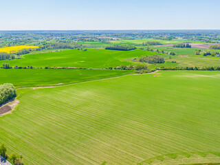 Bird eye view of green agricultural fields, europe