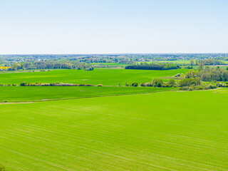 Bird eye view of green agricultural fields, europe