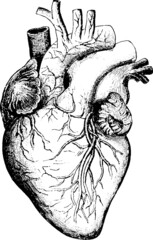 vintage heart with a transparent background © Collective Offset