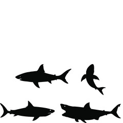 Shark silhouette on a white background.