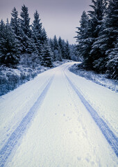 Road leading to Cornish Hill in Galloway Forest, Ayrshire, Scotland in January with car tracks in the heavy snow on the road.