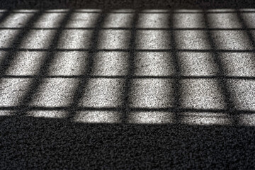 Sun Shining on Carpet