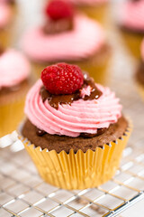 Chocolate raspberry cupcakes