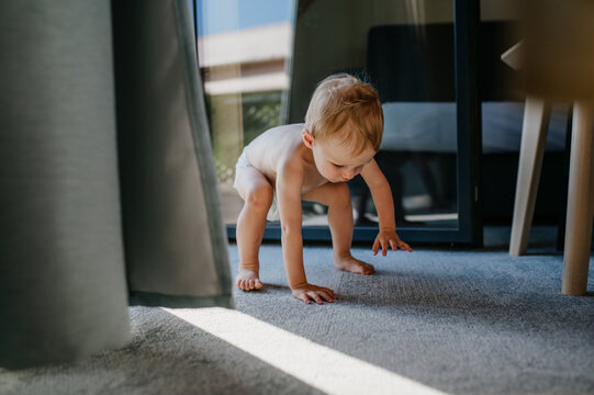 Cute Toddler Girl Crawling Takes First Step, Trying To Stand Up At Home.