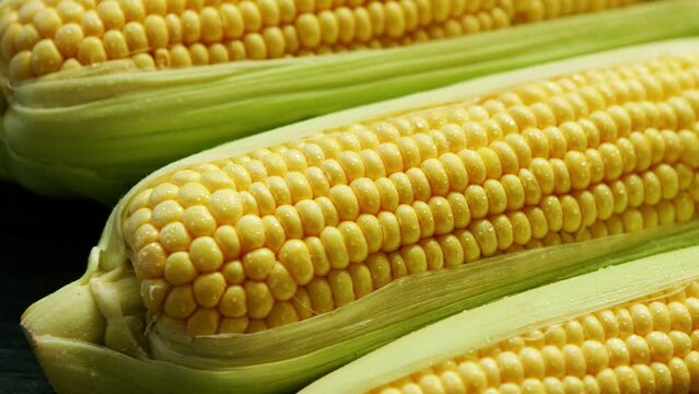 Fresh maize in leaves on the table