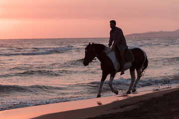 A modern man in summer clothes enjoys riding a horse on a beautiful sandy beach at sunset. Selective focus 