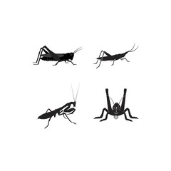 grasshopper icon