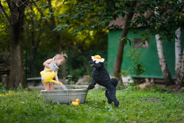 Funny child and dog with watering can and bath, summer bathing in yard