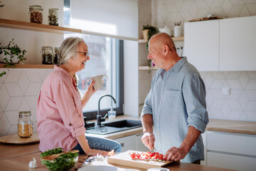 Happy senior couple cooking together at home.