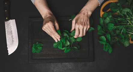 Green fresh mint leaves on a wooden board and two female hands on a black wooden table, top view © nndanko