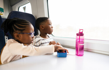 Siblings sitting on train