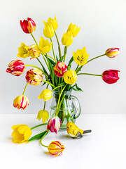 bouquet of yellow striped tulips on a white background
