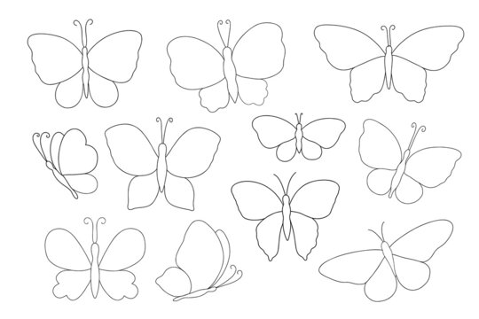 Fancy black and white butterfly set simple outline vector illustration, symbol of Easter holidays, spring or summer, celebration decor, linear clipart for cards, banner, springtime decoration, cute in