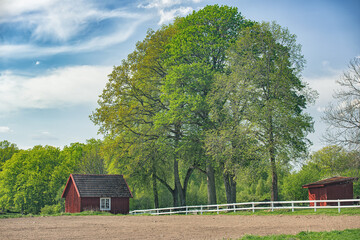 Obraz premium Image of a small red cottage in a forrest clearing. South east Sweden.