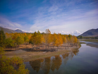 Landscape of autumn colors in Mongolia