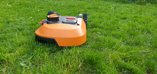 Automatic robotic lawn mower during its first use in the green grass of an unkempt lawn - obrazy, fototapety, plakaty