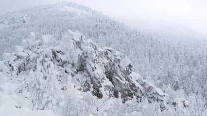 Fototapeta na wymiar Winter landscape with snow covered rock cliff on slope. Coniferous forest after snowstorm. Wood in ice, branches became fluffy from frost. Hill is covered with firs like white carpet.