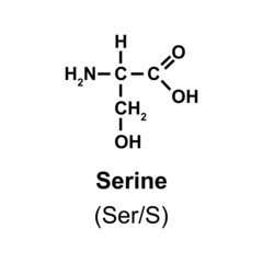 Serine Amino Acid Chemical Structure. Vector Illustration.