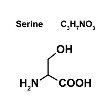 Serine Amino Acid Chemical Structure. Vector Illustration.