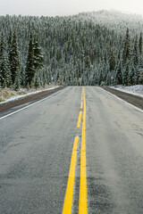 Asphalted wet road with yellow dividing stripes. Danger of ice, slippery pavement. Spruce branches are covered with frost after snowfall. Car ride among conifers.