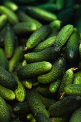 Heap of cucumbers close up in a box