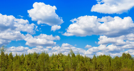 Beautiful summer landscape of nature with snow-white clouds over the forest. Background for weather forecast.