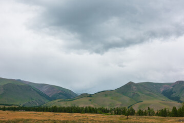 Dramatic view to coniferous forest and high mountain range under cloudy sky. Atmospheric landscape with green forest and hills against large mountains under cloudy sky. Beautiful mountains in overcast