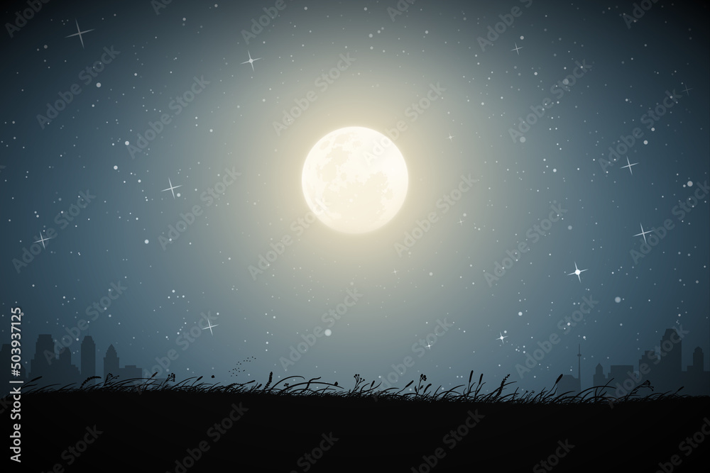Sticker landscape with tall grass on starry night. city buildings under moon
