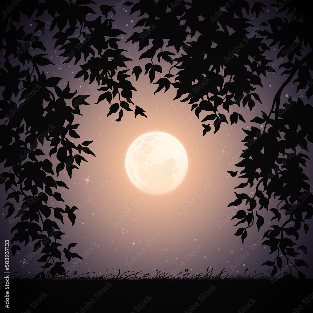Sticker moon framed by branches. landscape with tall grass on starry night