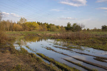 Rural spring landscape, blurred road, large puddle in the middle of the road. Young greenery in early spring. The evening sun illuminates the green grass.