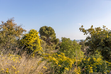 Bright, sunny landscape in the Spanish city of Sitges.