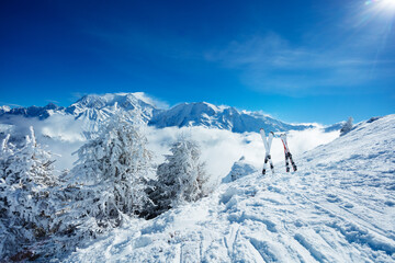 Fototapeta na wymiar Snow covered bushes, trees and two pair of alpine skis