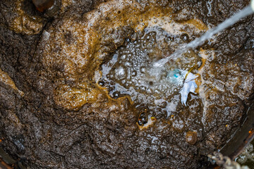 Polluted water in the pond,waste water,water pollution.