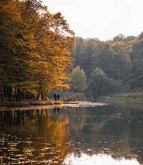 Autumnal season landscape. Fall weather in park . Yellow forest trees on the bank of lake. Autumn tourism.