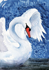 Watercolor illustration of a graceful white swan flapping its wings on a dark blue background floating on black water