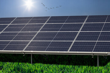 Solar power plant. Blue solar panels. Alternative source of electricity. Solar farm. Solar panels...