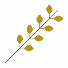 dry twigs isolated on white background	