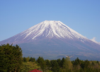 日本の山梨県の富士山麓の駐車場から富士山を眺める