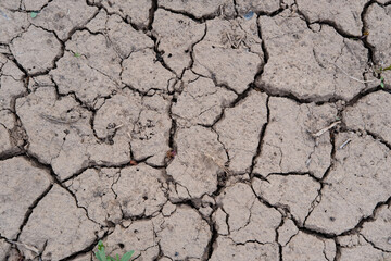 Gray cracked earth background texture
